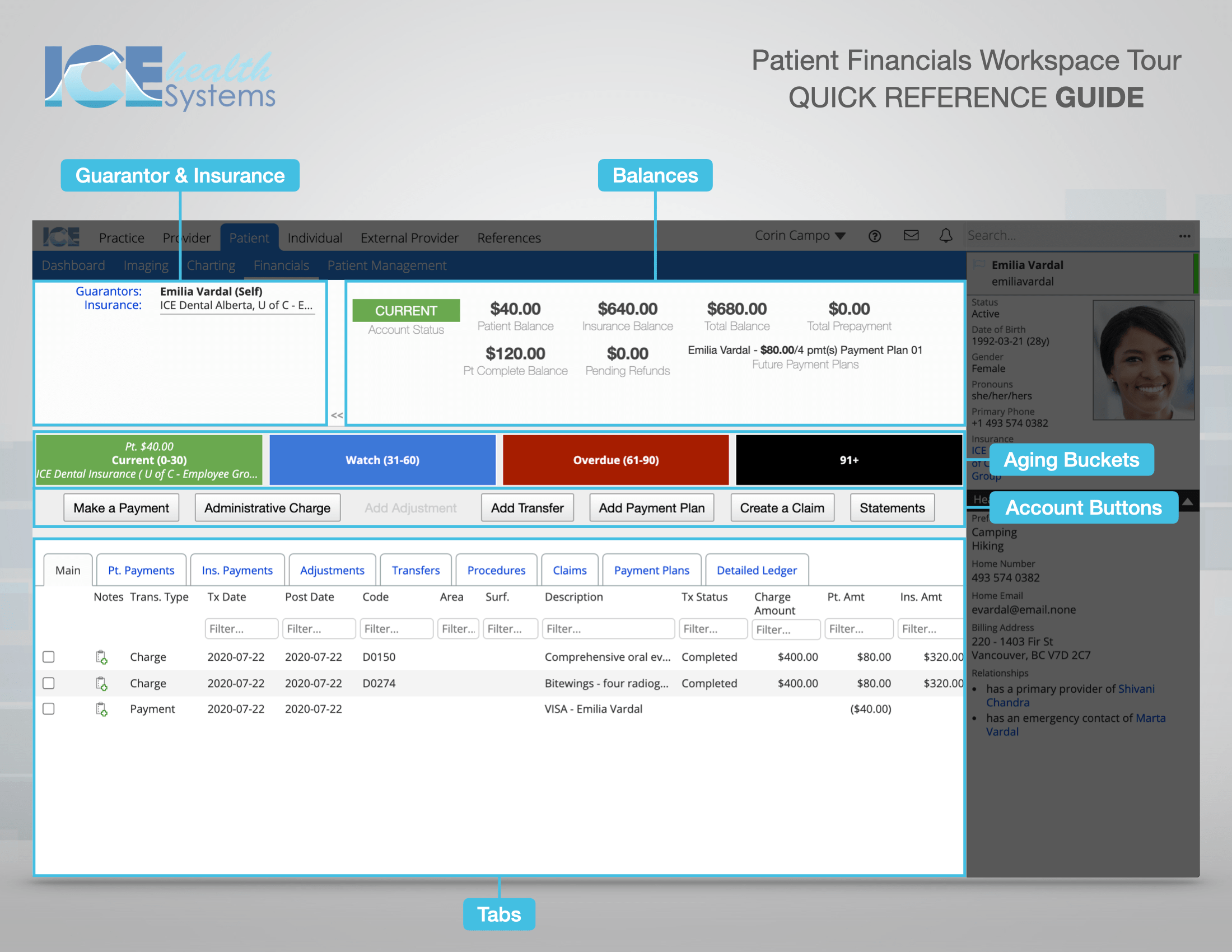 The five sections are Guarantor and Insurance, Balances, Aging Buckets, Account Buttons, and Tabs.