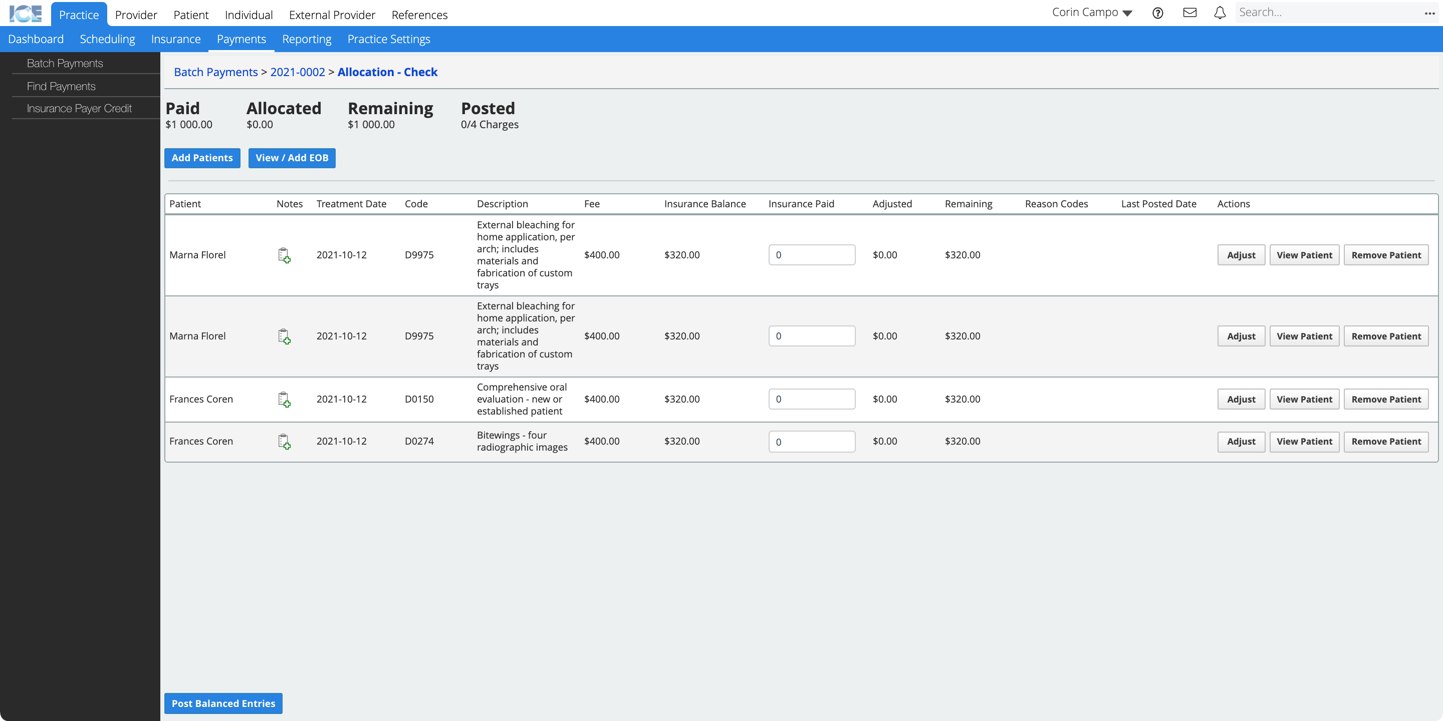 The allocation view has fields to enter paid amounts for each line, and action buttons on the right to adjust the charge, view the patient record, or remove the patient from the allocation.